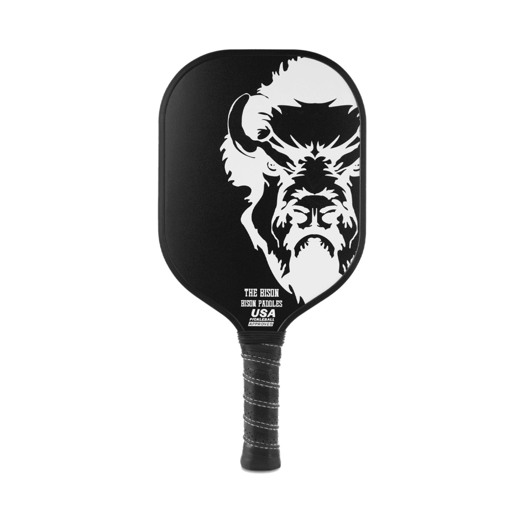 paddle image