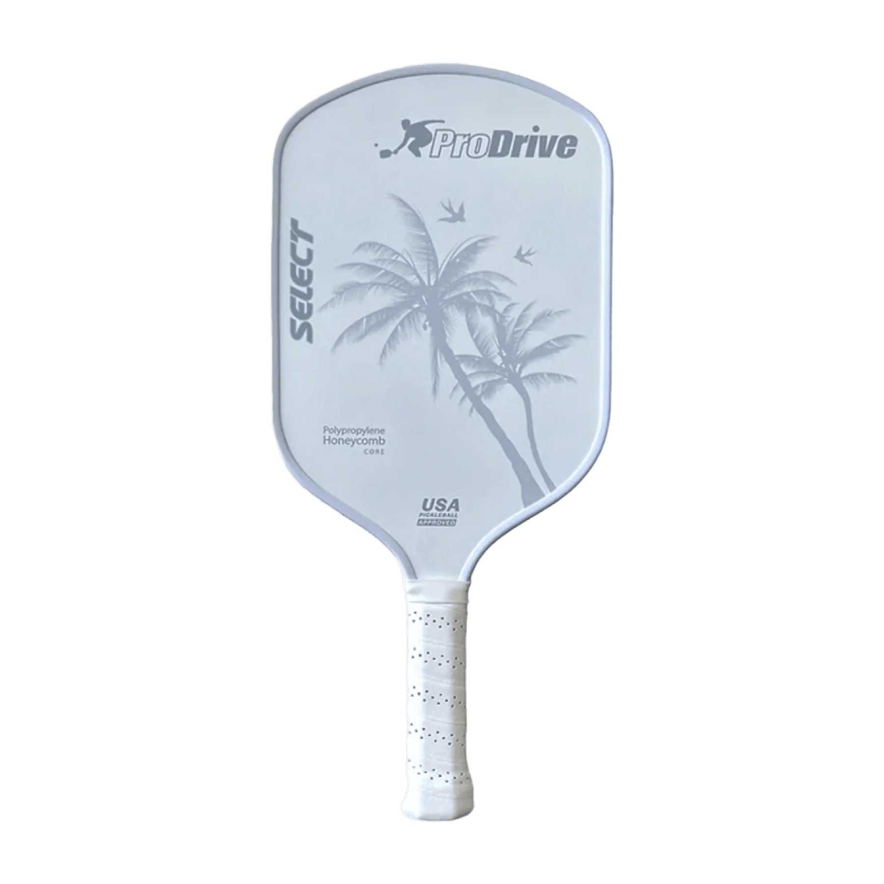 paddle image